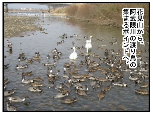 f:id:k9352009:20160315123041j:image
