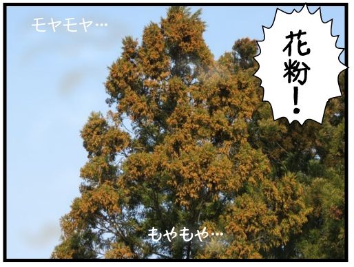f:id:k9352009:20160315123045j:image