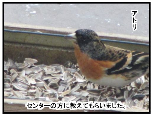 f:id:k9352009:20160315123206j:image