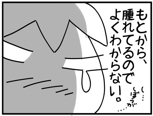 f:id:k9352009:20160319103618j:image