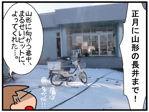 f:id:k9352009:20160323122926j:image f:id:k9352009:20160323122926j:image