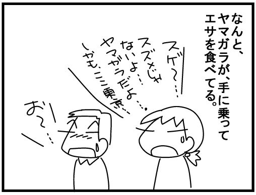 f:id:k9352009:20160330145023j:image
