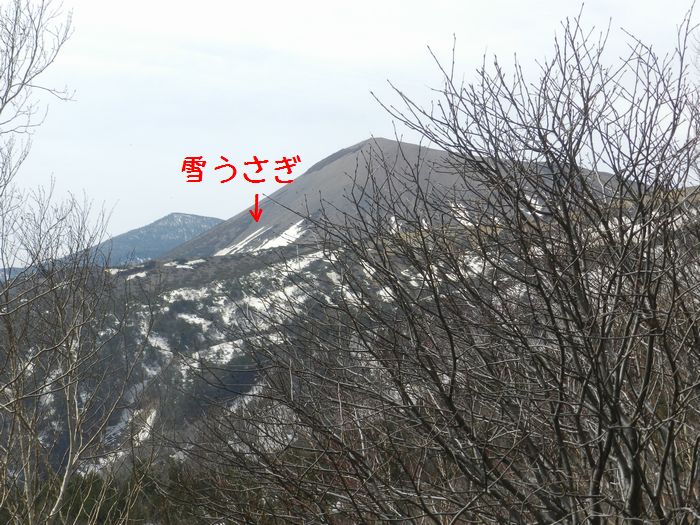 f:id:k9352009:20160419121320j:image