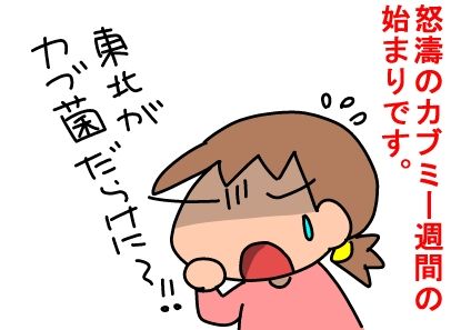 f:id:k9352009:20160509103743j:image