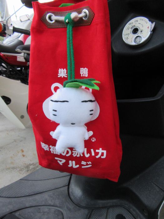 f:id:k9352009:20160602100614j:image