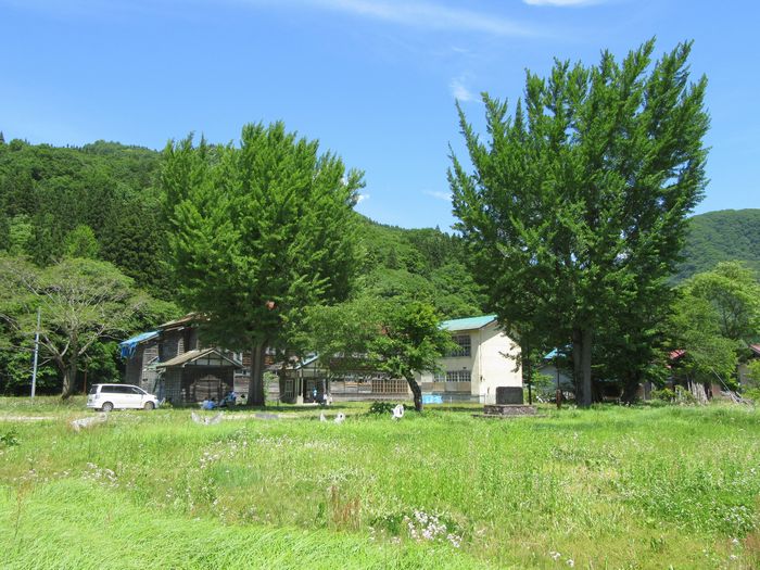 f:id:k9352009:20160606115716j:image