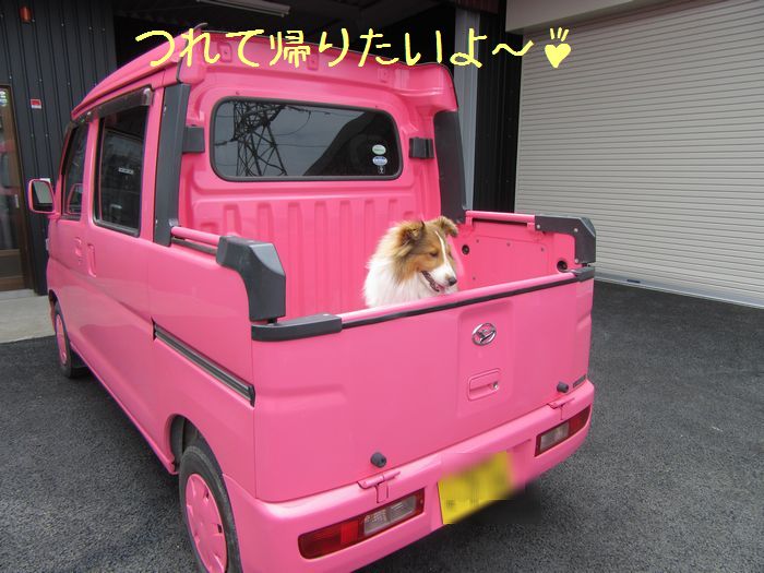 f:id:k9352009:20160608104124j:image