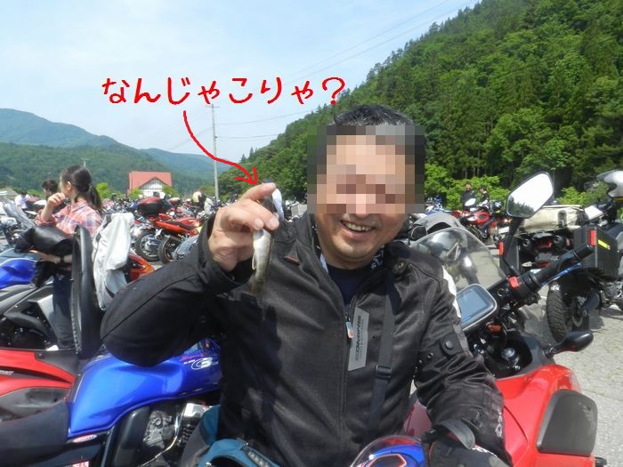 f:id:k9352009:20160620170208j:image