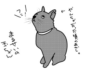 f:id:k9352009:20160704113049j:image