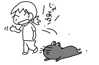 f:id:k9352009:20160705123906j:image