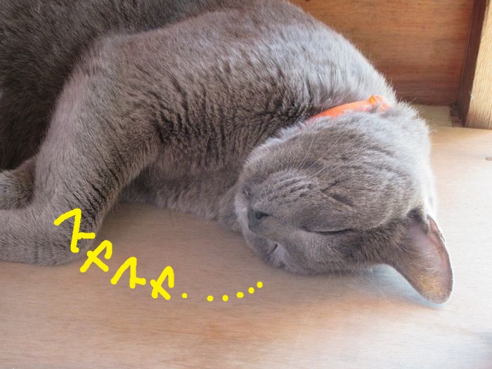 f:id:k9352009:20160705124233j:image