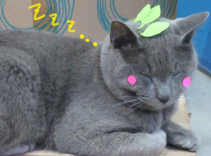 f:id:k9352009:20160706115813j:image