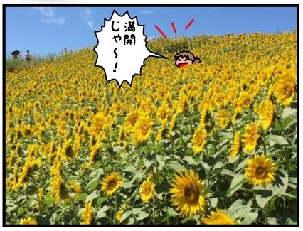 f:id:k9352009:20160817133123j:image