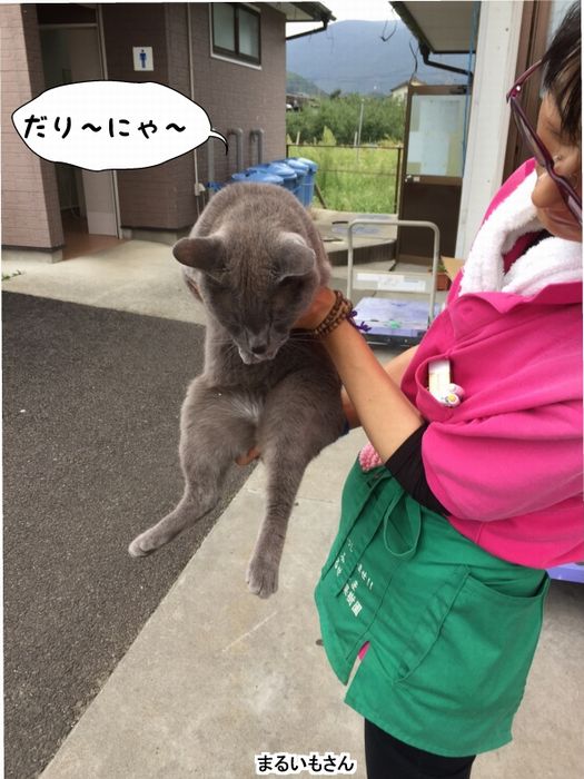 f:id:k9352009:20160909114740j:image
