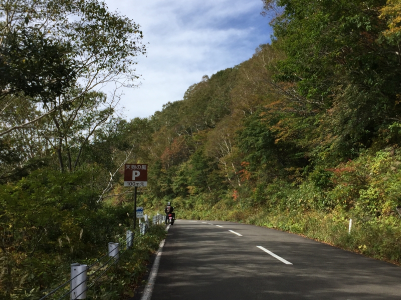 f:id:k9352009:20161007124426j:image