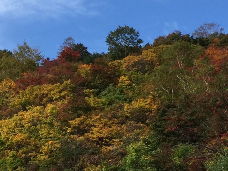 f:id:k9352009:20161007124517j:image