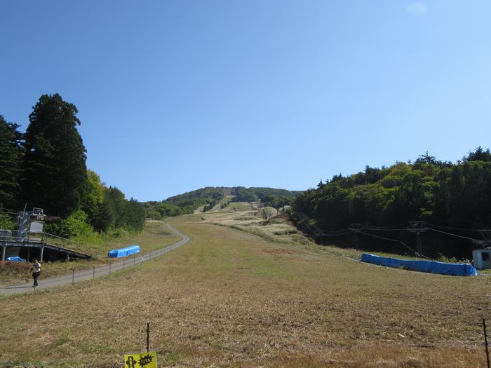 f:id:k9352009:20161101102943j:image