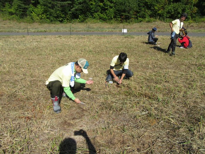 f:id:k9352009:20161101105151j:image