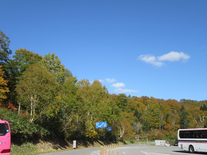 f:id:k9352009:20161101111850j:image