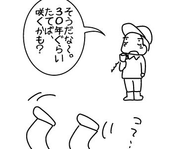 f:id:k9352009:20161101145930j:image