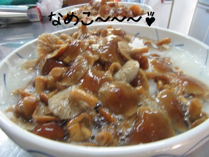 f:id:k9352009:20161103102621j:image
