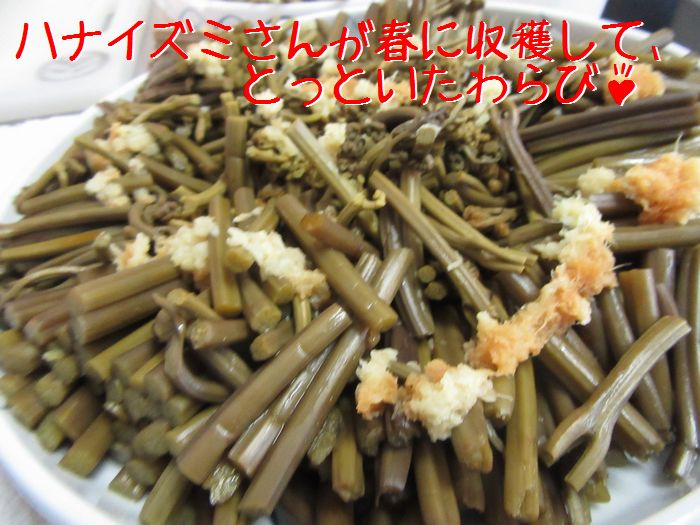 f:id:k9352009:20161103102623j:image
