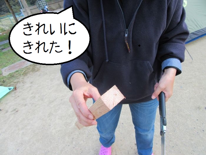 f:id:k9352009:20161128213646j:image