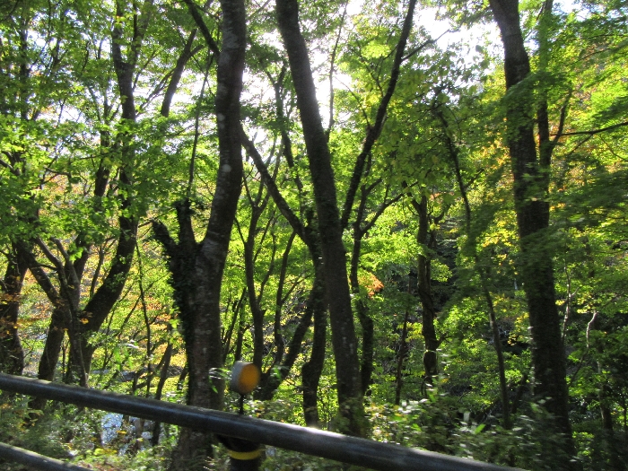 f:id:k9352009:20161205123834j:image f:id:k9352009:20161205123834j:image