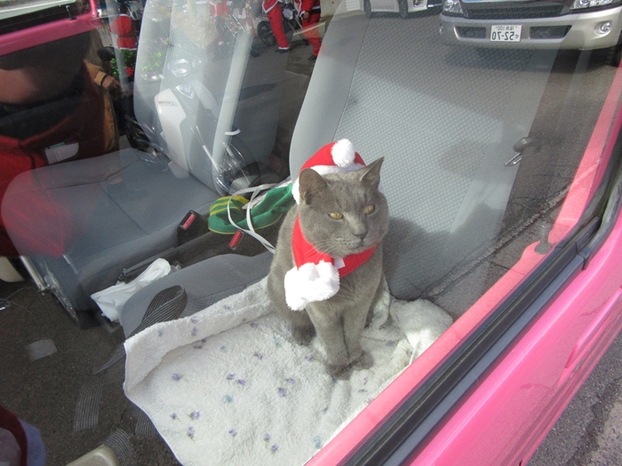 f:id:k9352009:20161214123946j:image