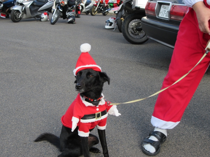 f:id:k9352009:20161214123948j:image