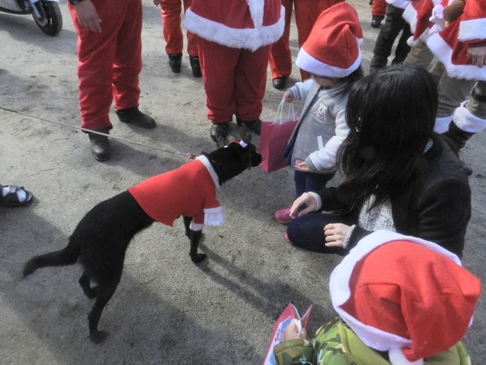 f:id:k9352009:20161214125349j:image