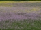 20170512234355