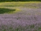 20170512234438