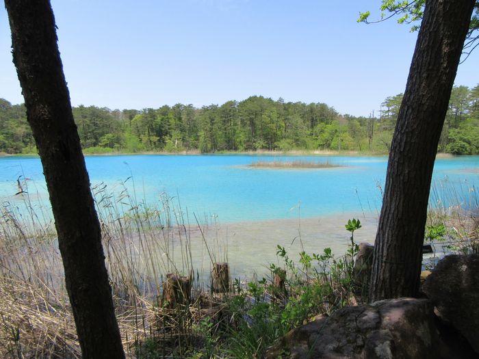 f:id:k9352009:20170523120528j:image