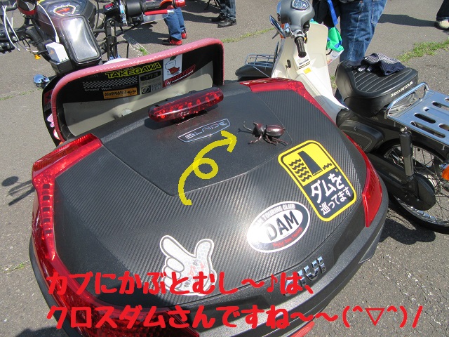 f:id:k9352009:20170526092738j:image