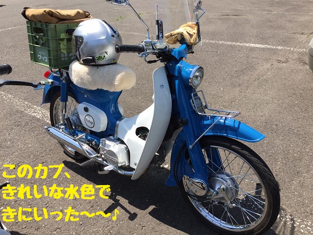 f:id:k9352009:20170526093143j:image:w640