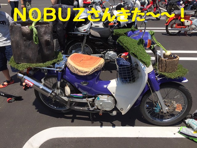 f:id:k9352009:20170527084800j:image