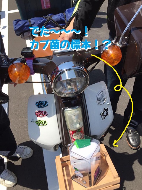 f:id:k9352009:20170527093642j:image