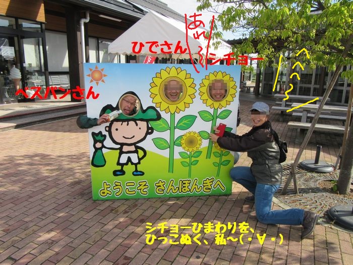 f:id:k9352009:20170530113703j:image