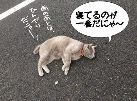 f:id:k9352009:20170704073056p:image
