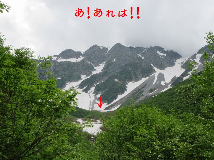 f:id:k9352009:20170724122748j:image f:id:k9352009:20170724122748j:image