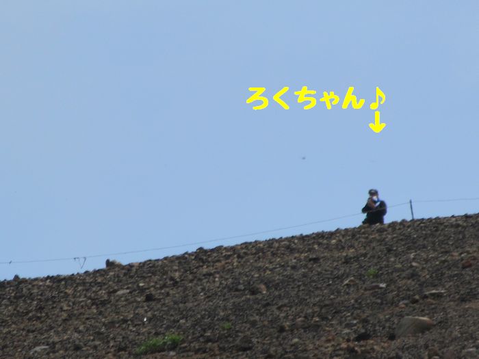 f:id:k9352009:20170904185606j:image