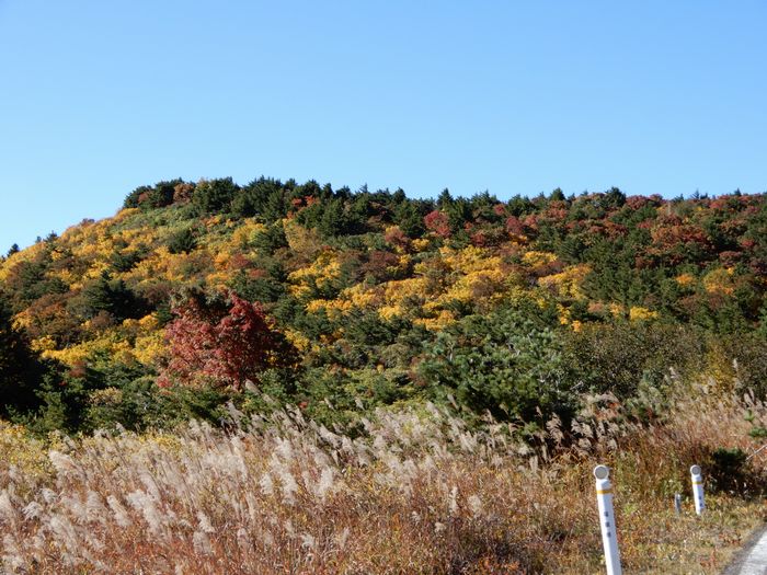 f:id:k9352009:20170929102413j:image