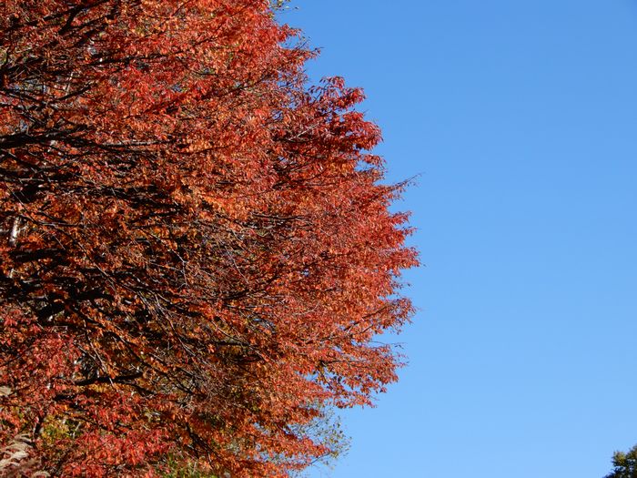 f:id:k9352009:20170929102701j:image