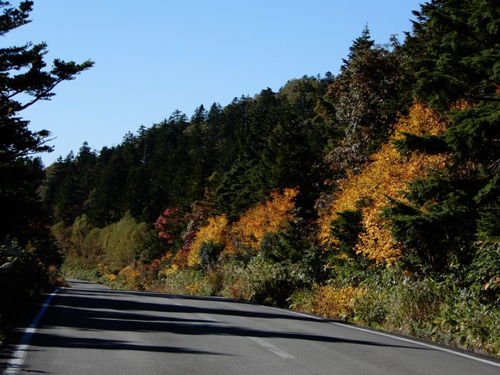 f:id:k9352009:20170929102708j:image