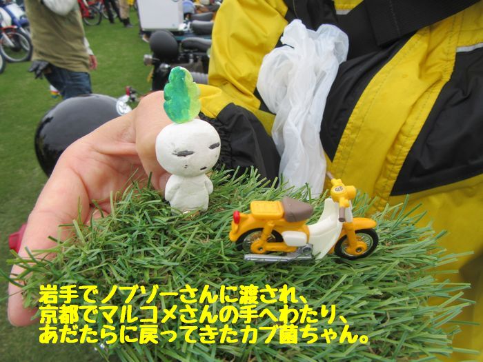 f:id:k9352009:20171006220913j:image