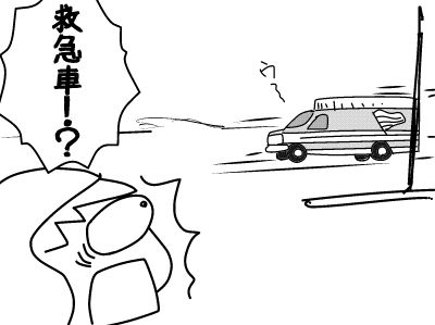 f:id:k9352009:20171213111229j:image