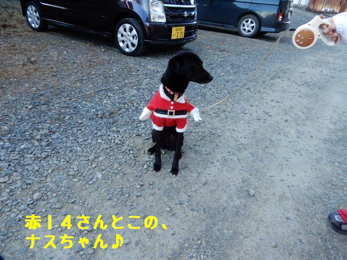f:id:k9352009:20171223085948j:image
