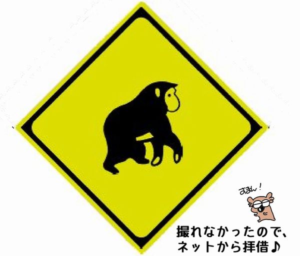 f:id:k9352009:20180130105752j:image
