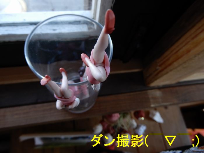 f:id:k9352009:20180306095926j:image f:id:k9352009:20180306095926j:image